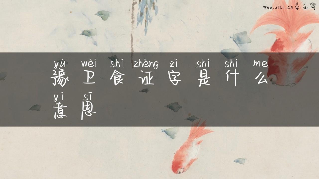 豫卫食证字是什么意思