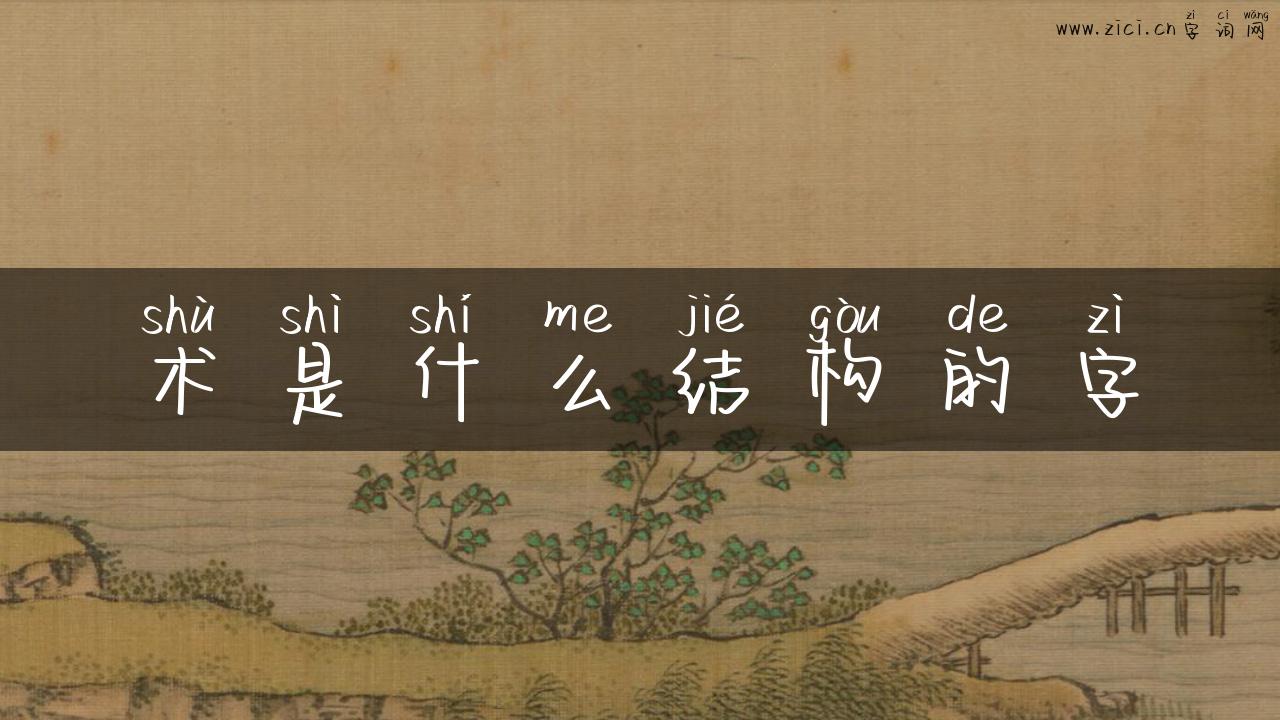 术是什么结构的字