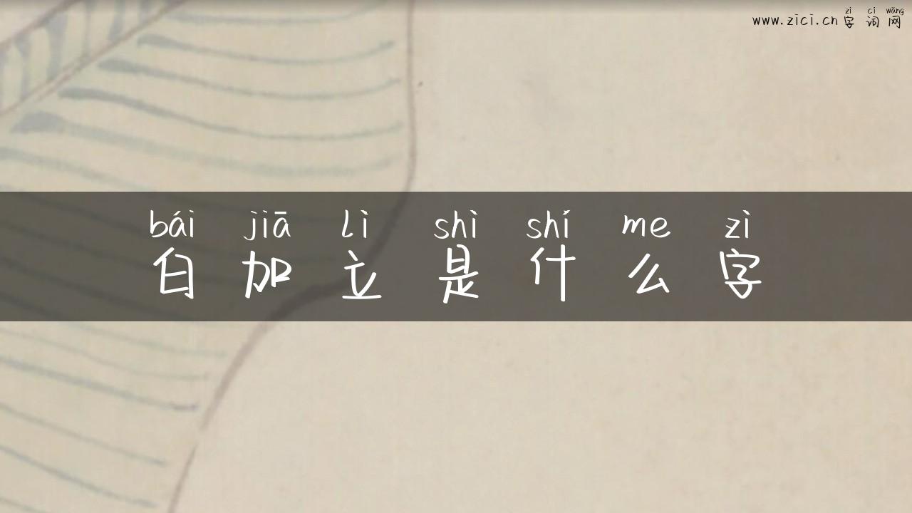 白加立是什么字