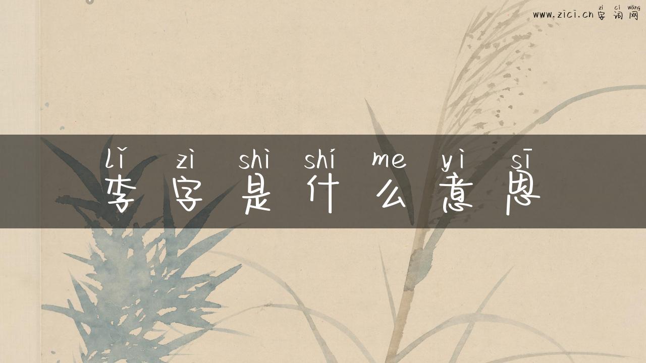 李字是什么意思