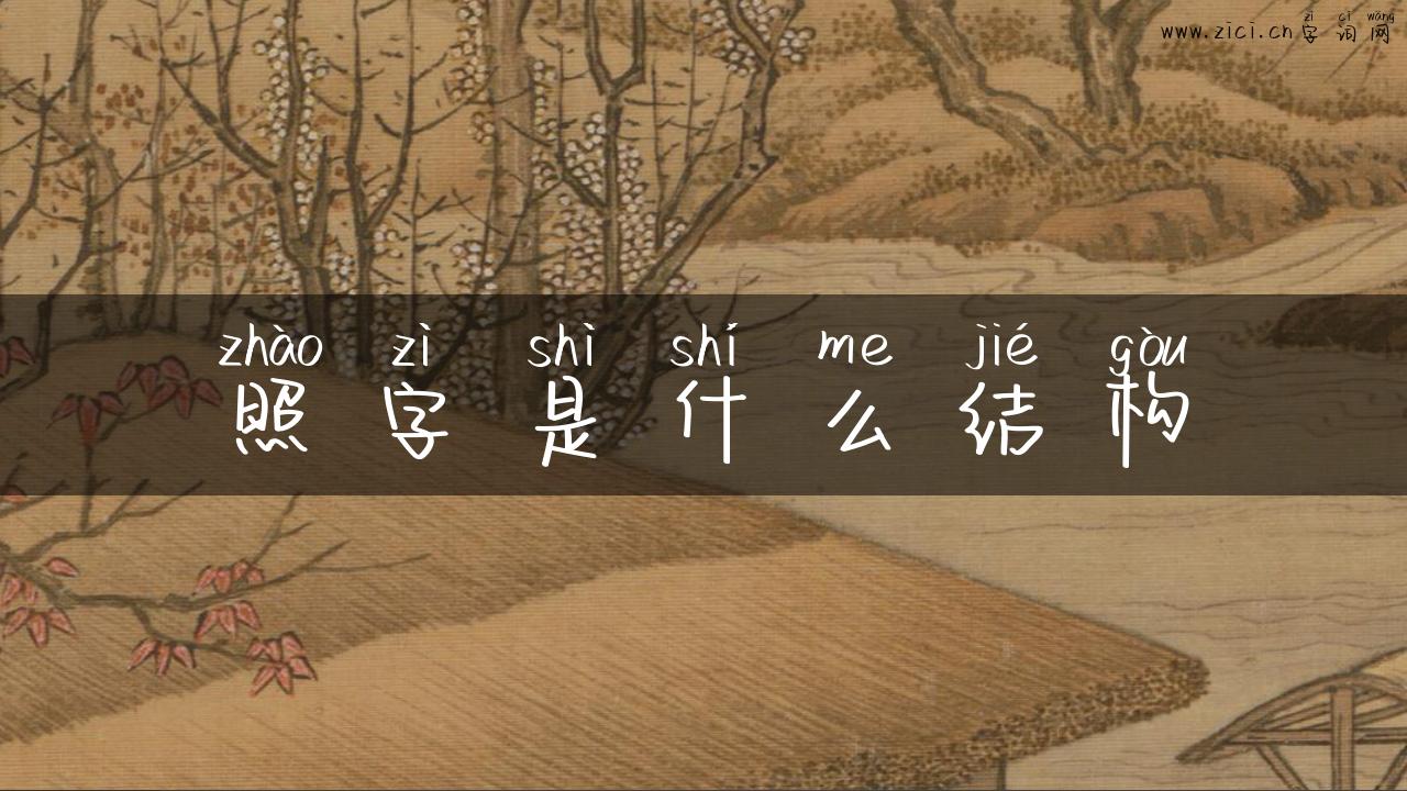 照字是什么结构