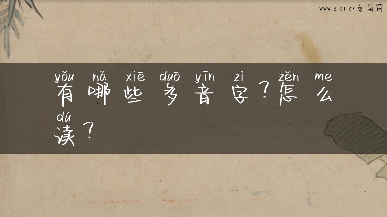 有哪些多音字？怎么读？