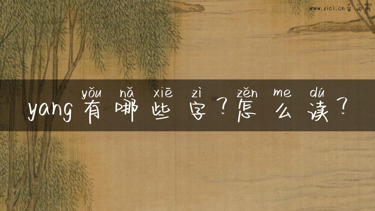 yang有哪些字？怎么读？