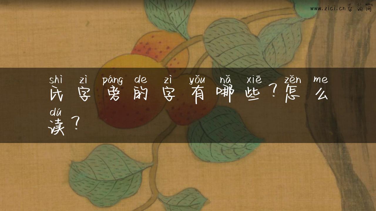 氏字旁的字有哪些？怎么读？