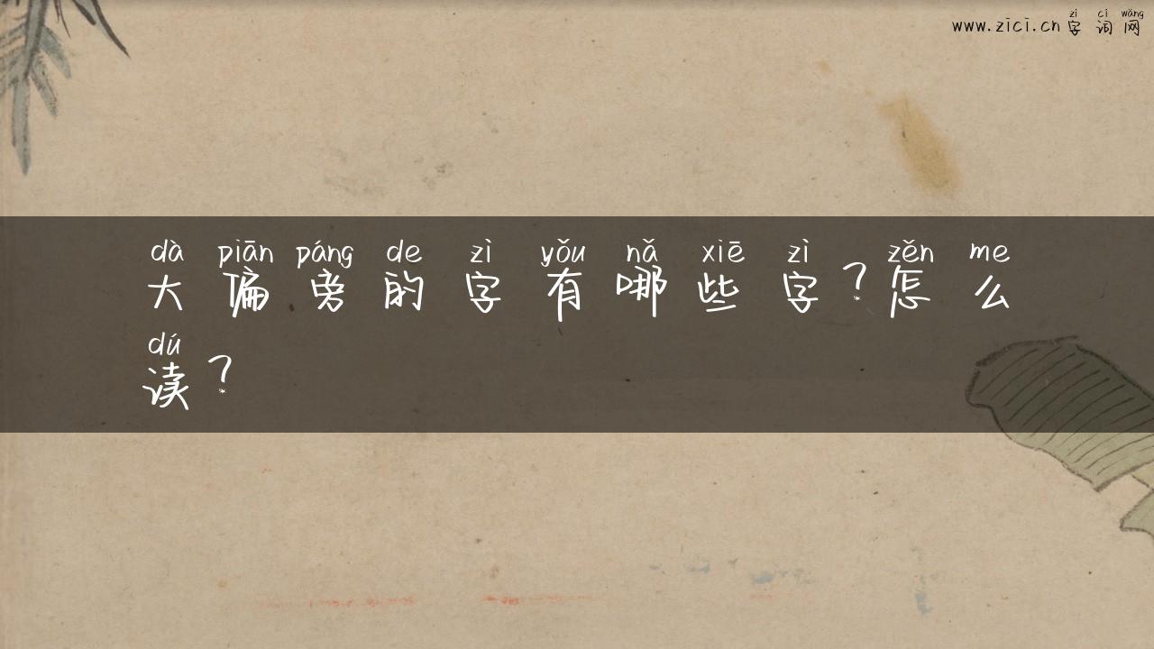 大偏旁的字有哪些字？怎么读？