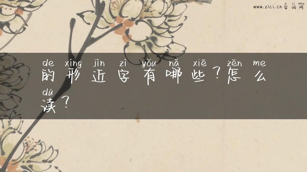 的形近字有哪些？怎么读？