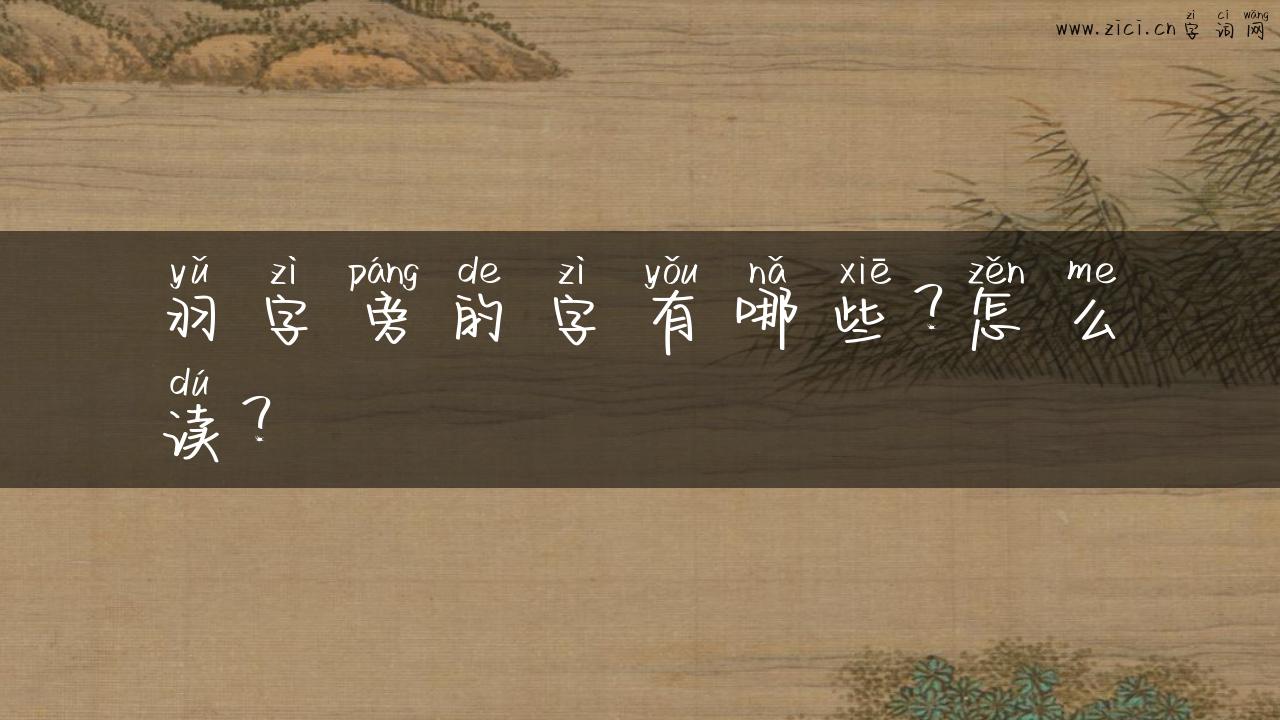 羽字旁的字有哪些？怎么读？