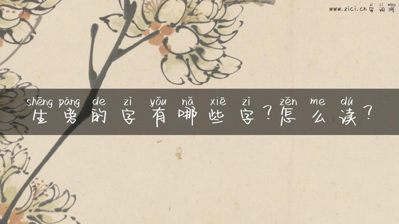 生旁的字有哪些字？怎么读？