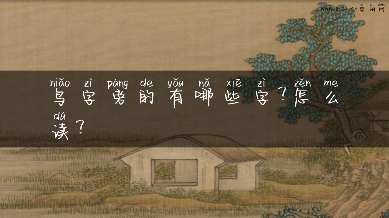 鸟字旁的有哪些字？怎么读？