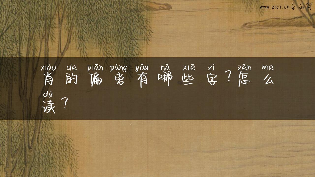 肖的偏旁有哪些字？怎么读？