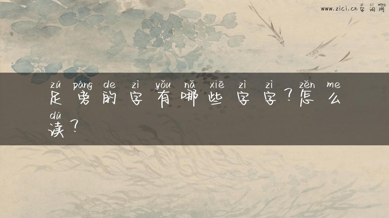 足旁的字有哪些字字？怎么读？