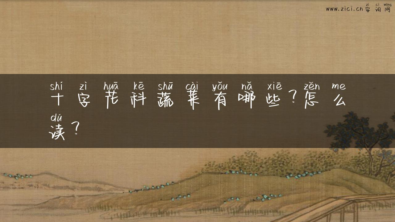 十字花科蔬菜有哪些？怎么读？