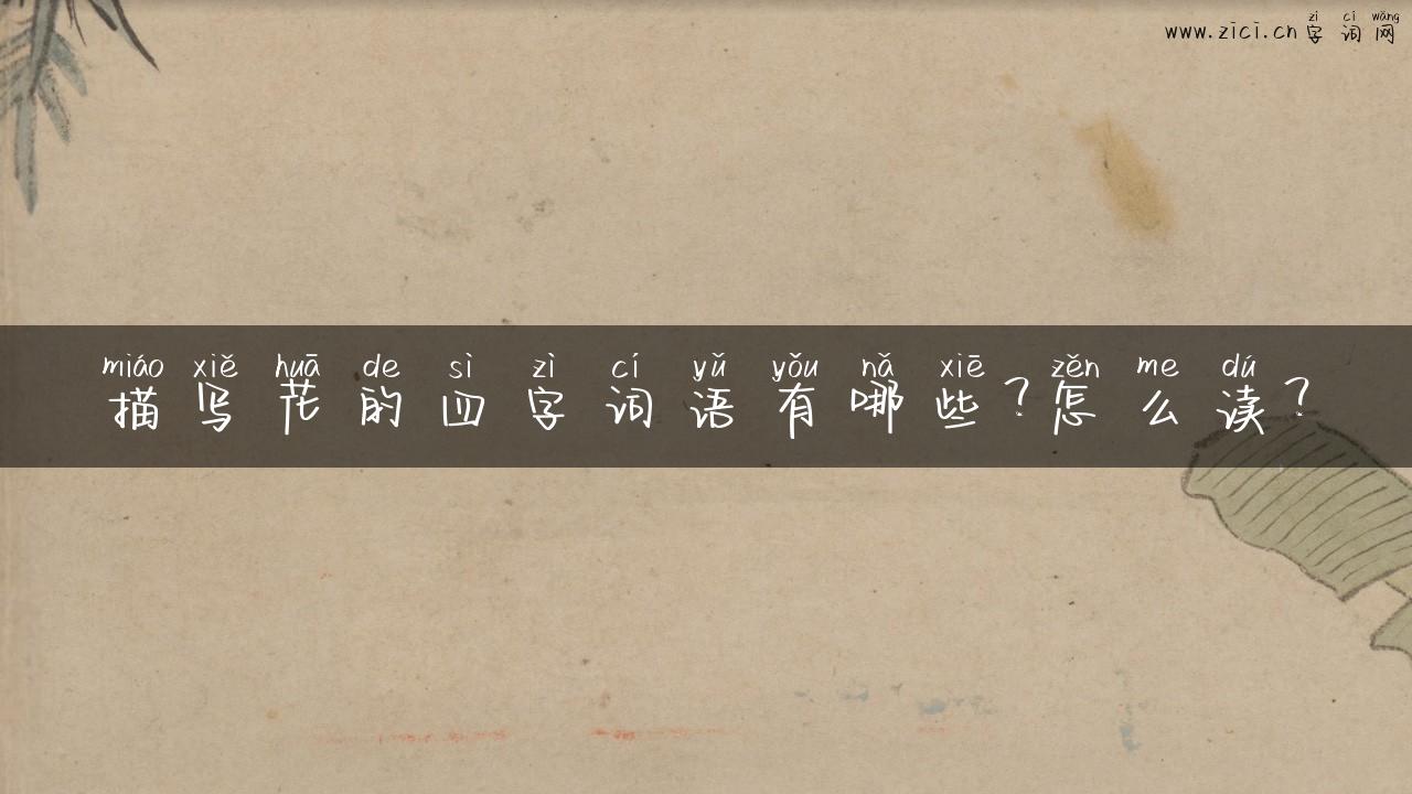 描写花的四字词语有哪些？怎么读？