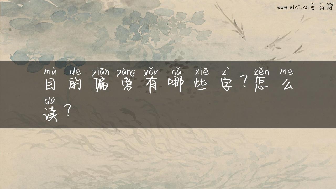 目的偏旁有哪些字？怎么读？