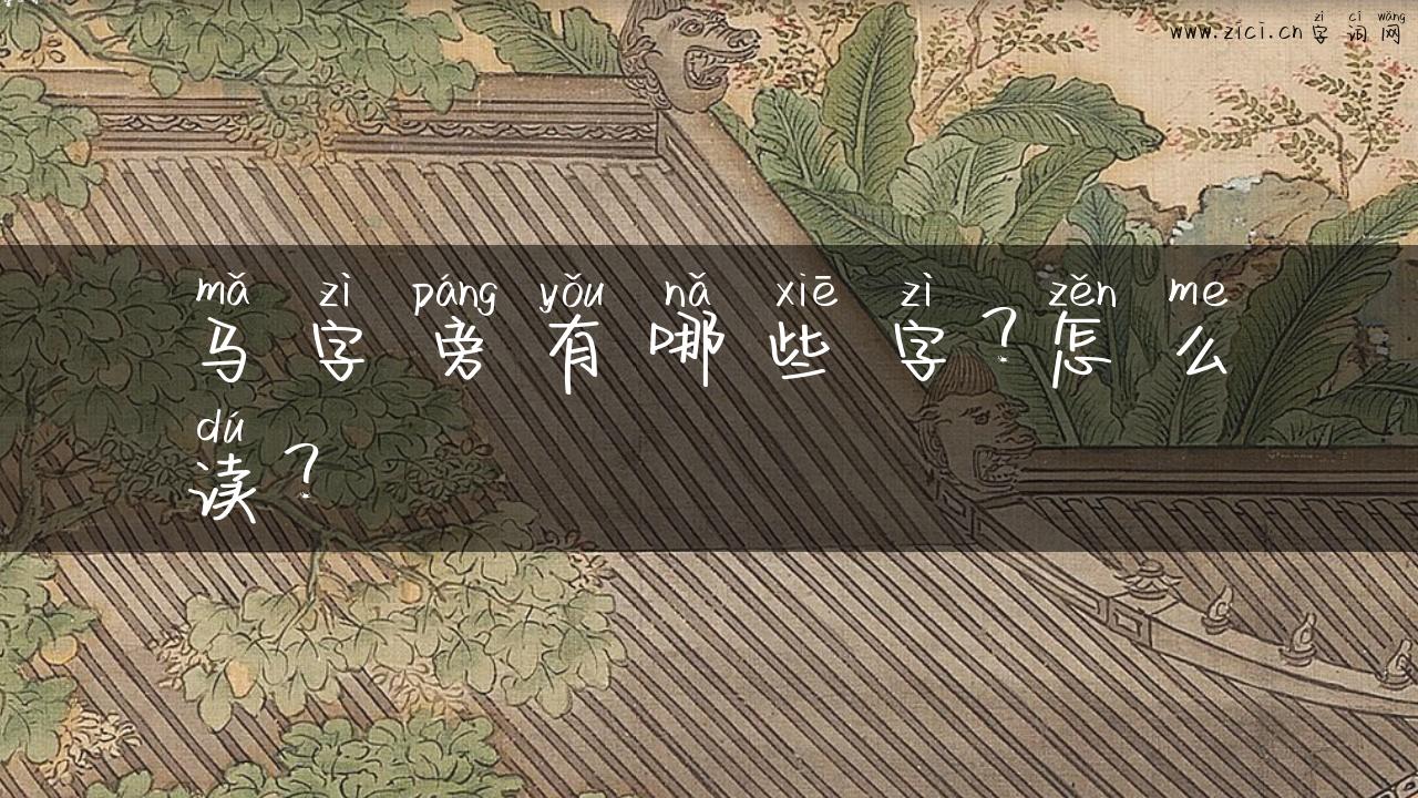 马字旁有哪些字？怎么读？