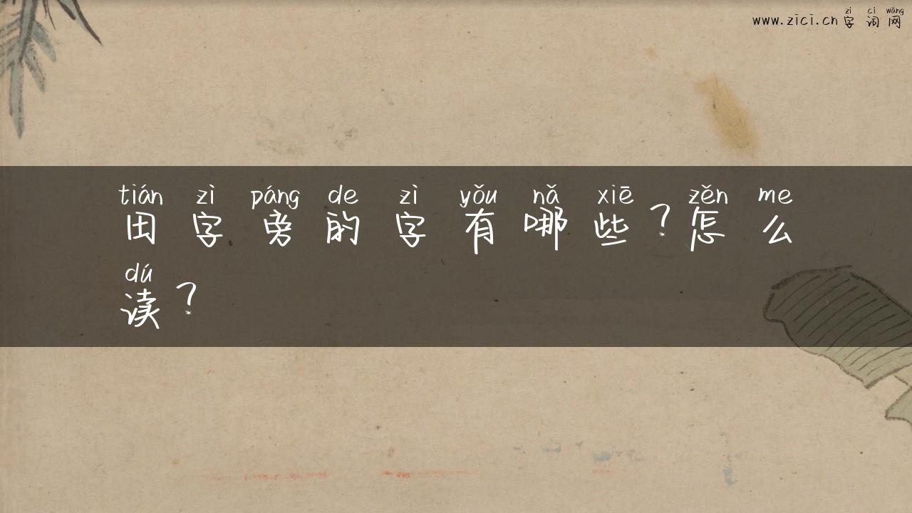 田字旁的字有哪些？怎么读？