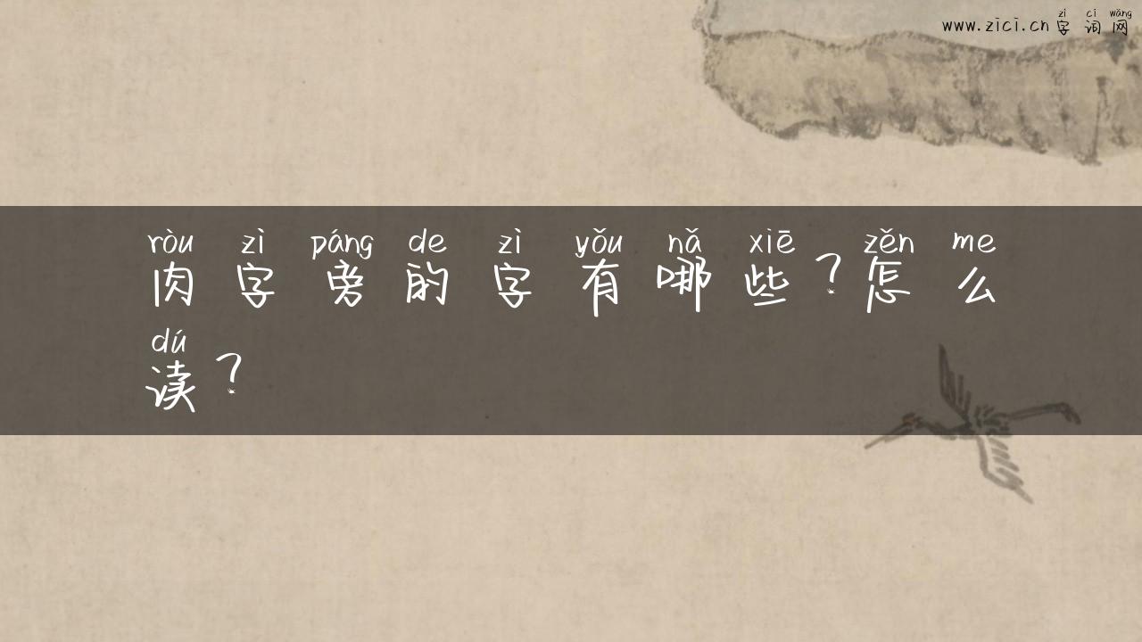 肉字旁的字有哪些？怎么读？