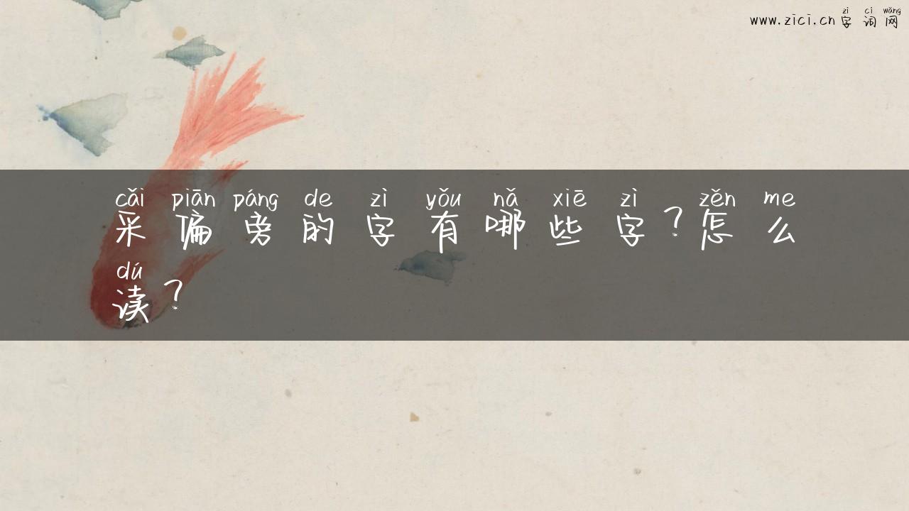 采偏旁的字有哪些字？怎么读？
