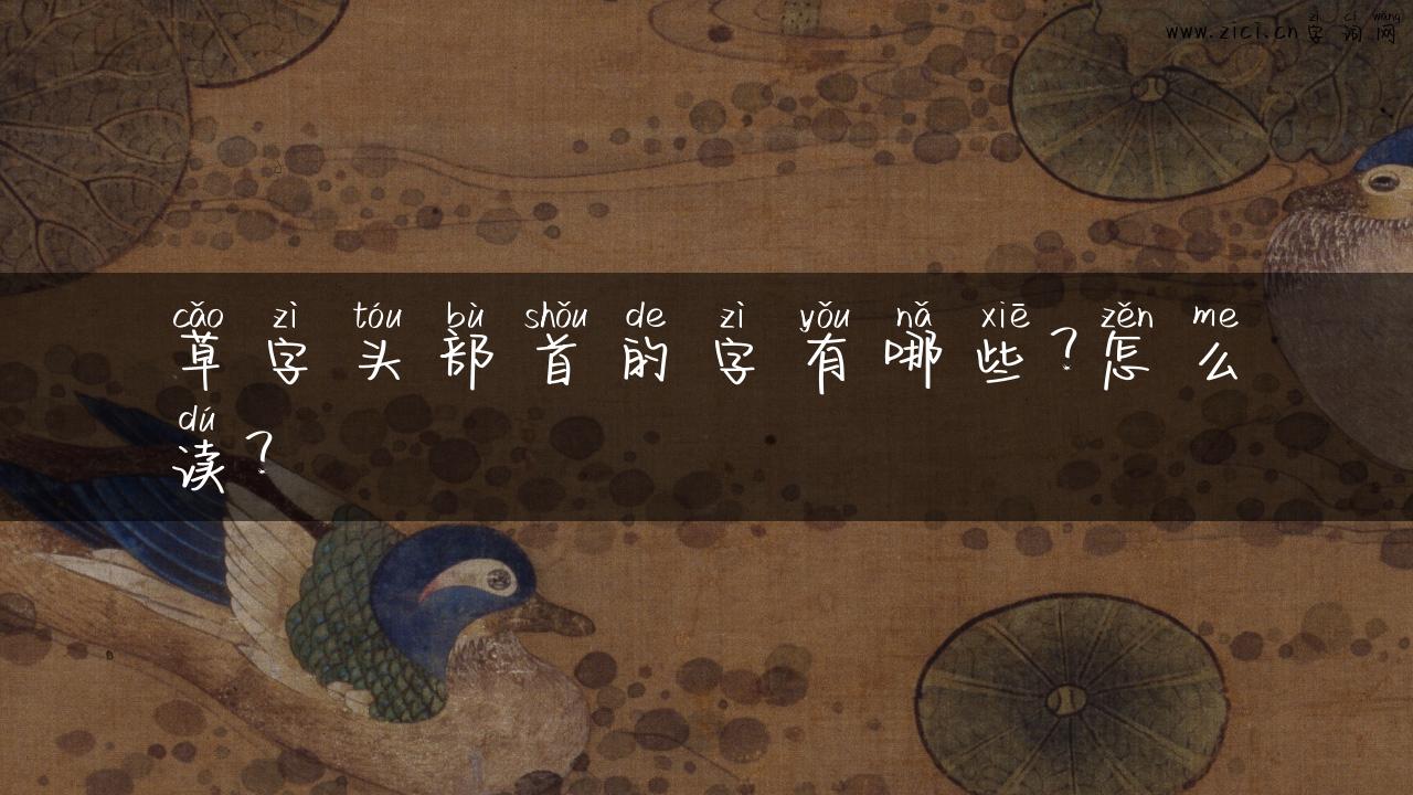 草字头部首的字有哪些？怎么读？