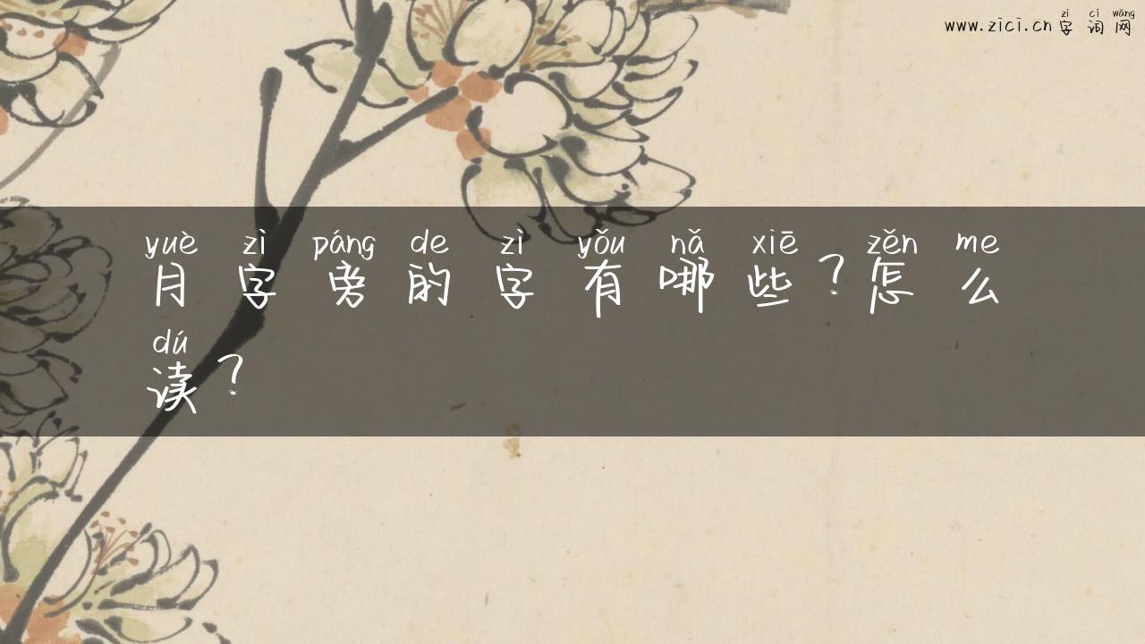 月字旁的字有哪些？怎么读？