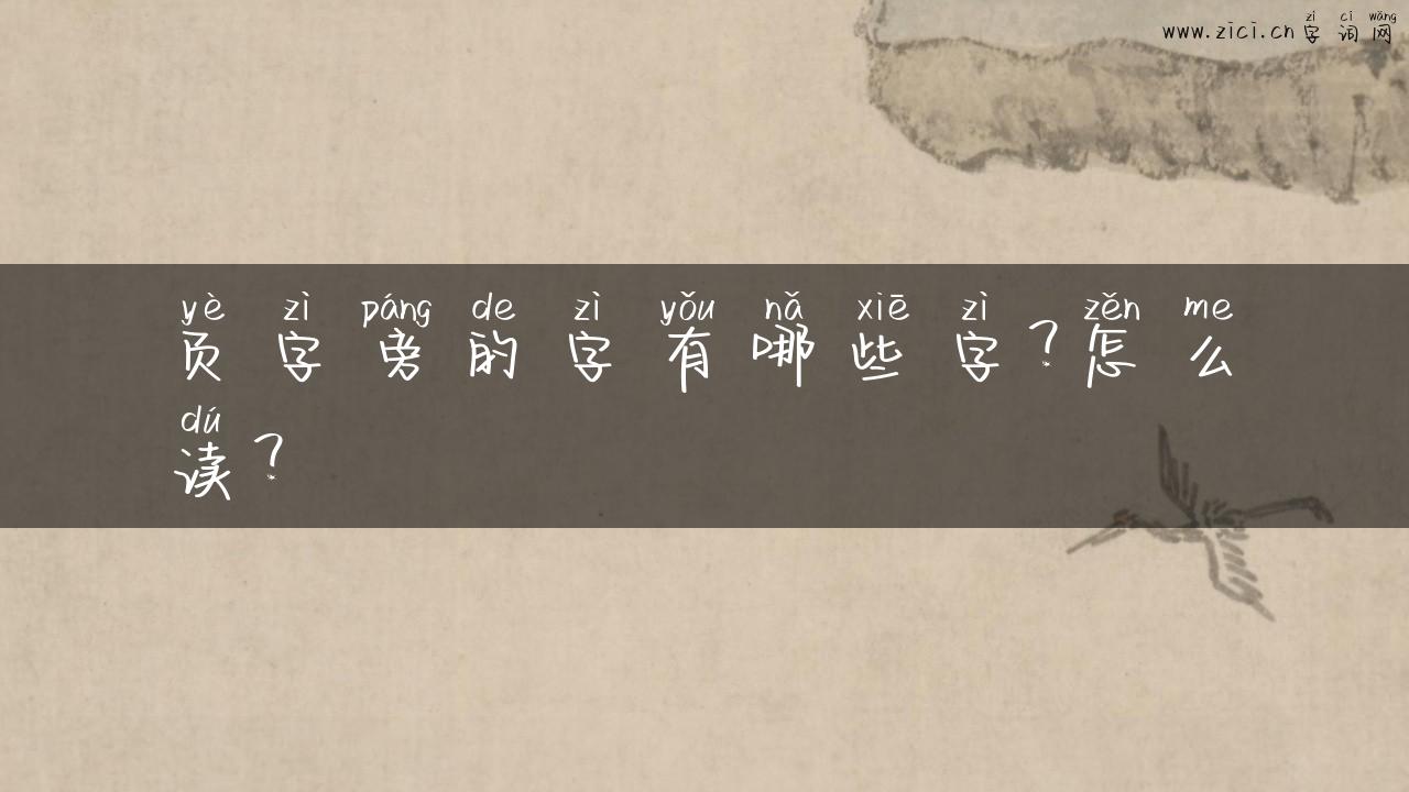 页字旁的字有哪些字？怎么读？