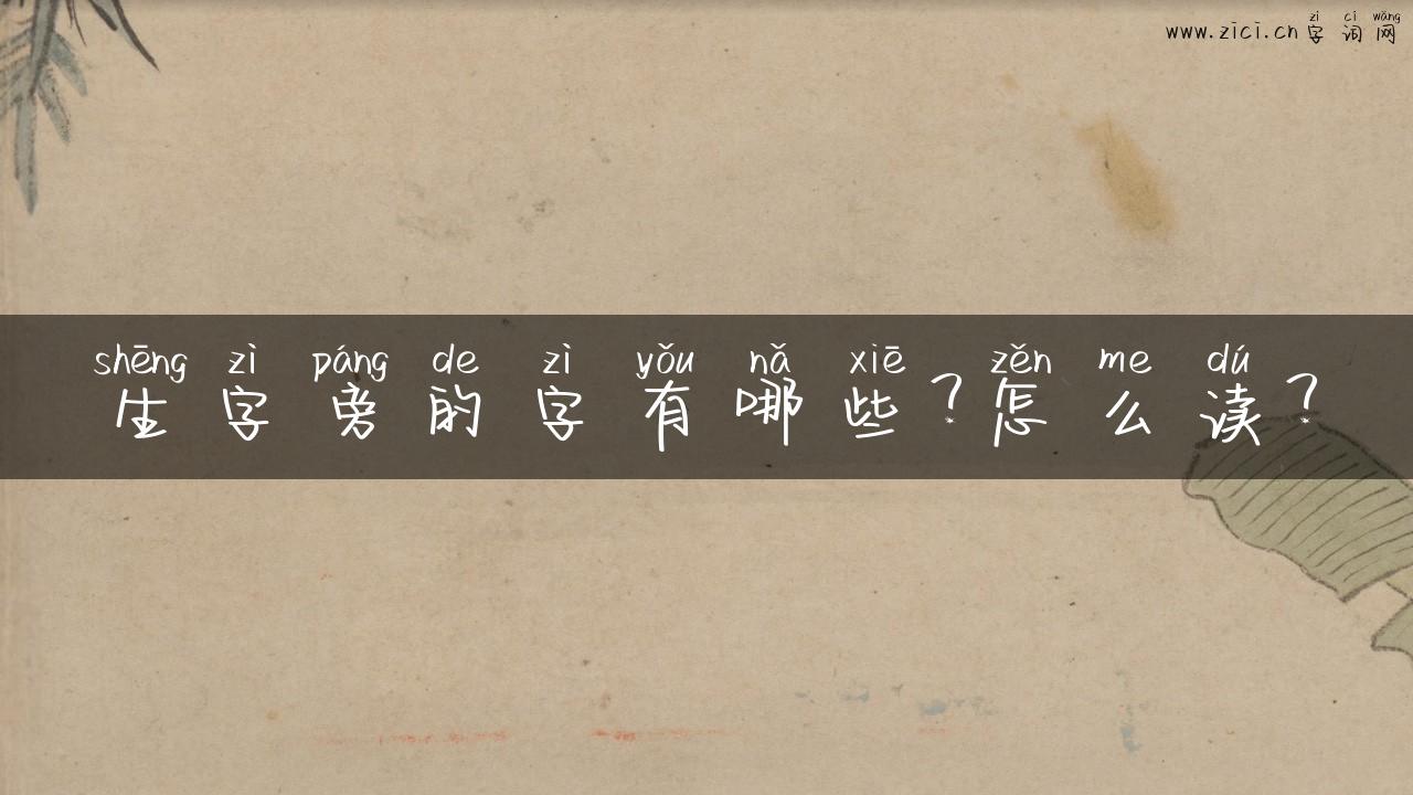 生字旁的字有哪些？怎么读？