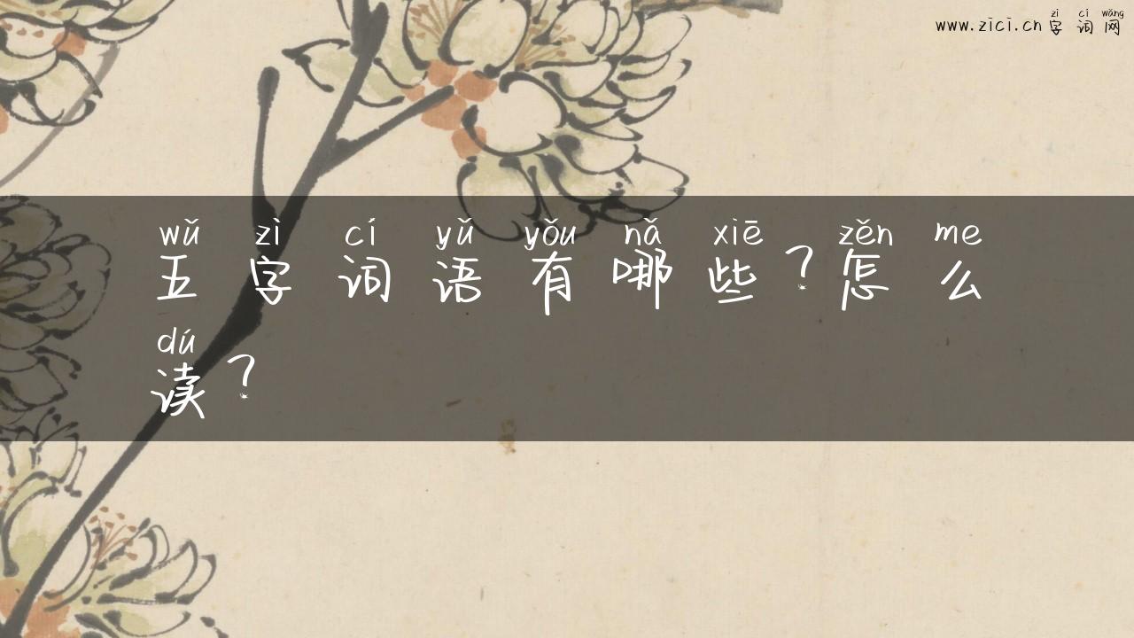 五字词语有哪些？怎么读？