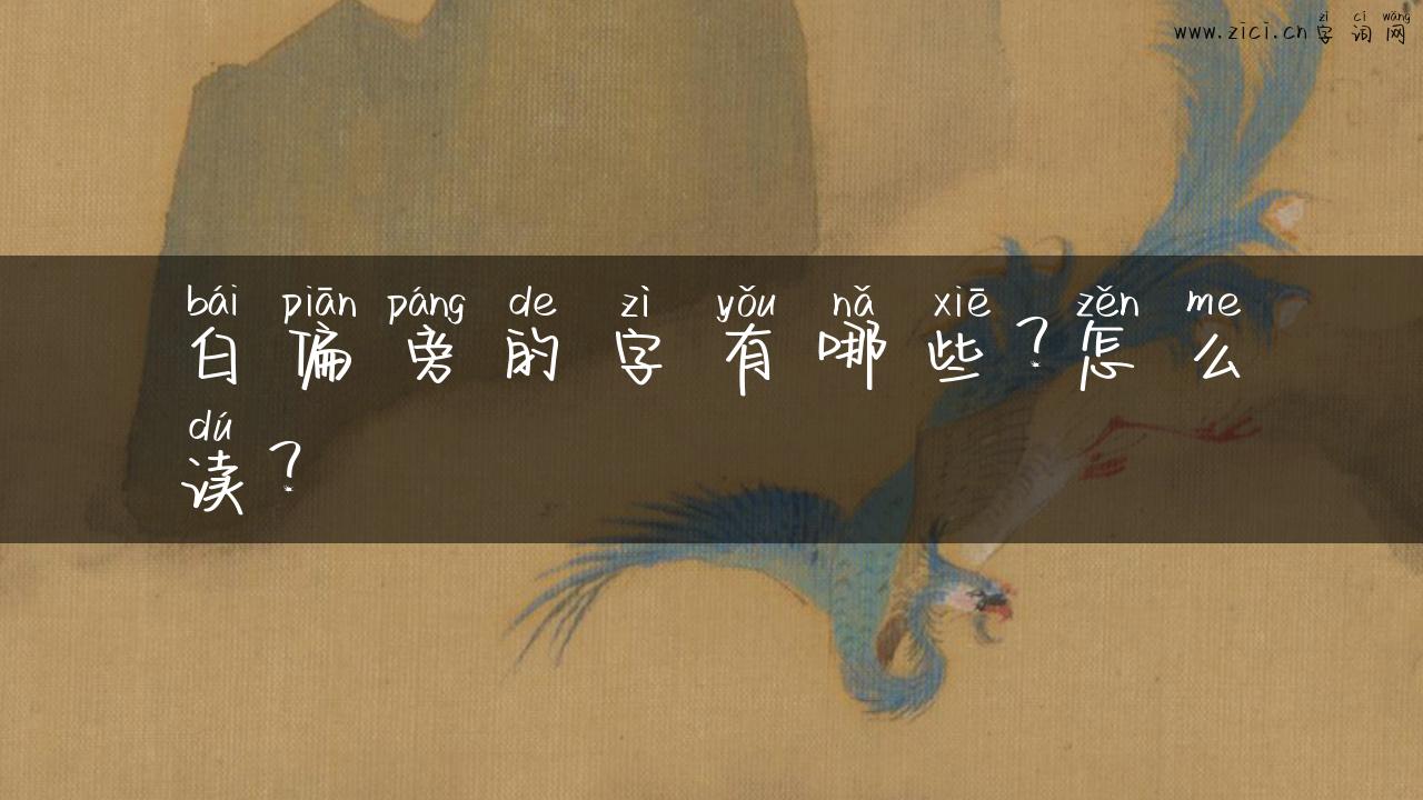 白偏旁的字有哪些？怎么读？
