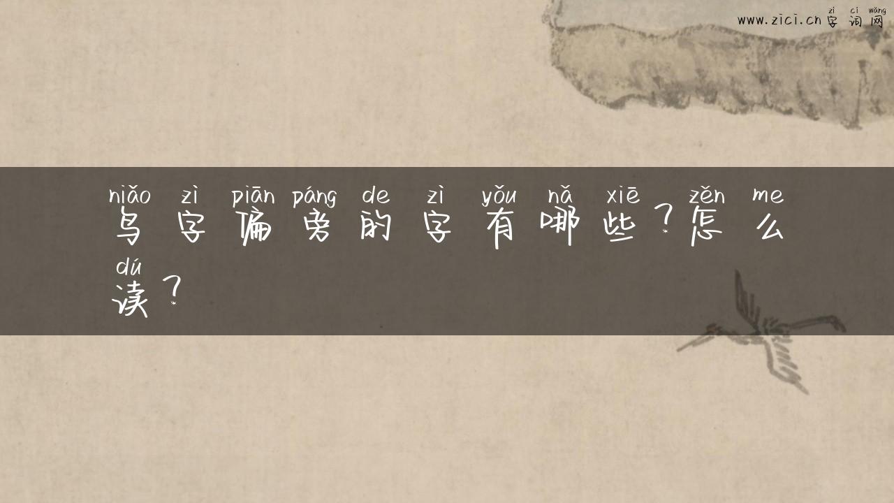 鸟字偏旁的字有哪些？怎么读？