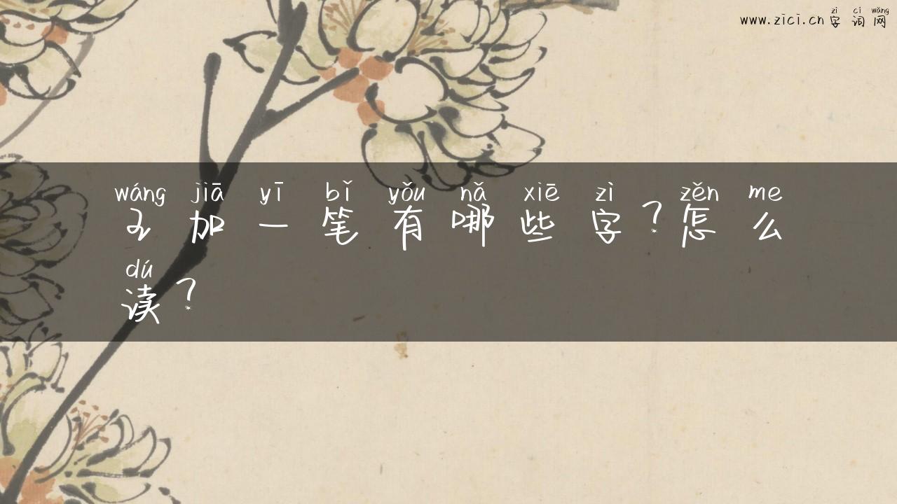王加一笔有哪些字？怎么读？