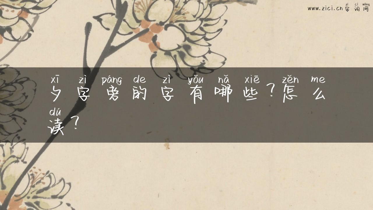 夕字旁的字有哪些？怎么读？
