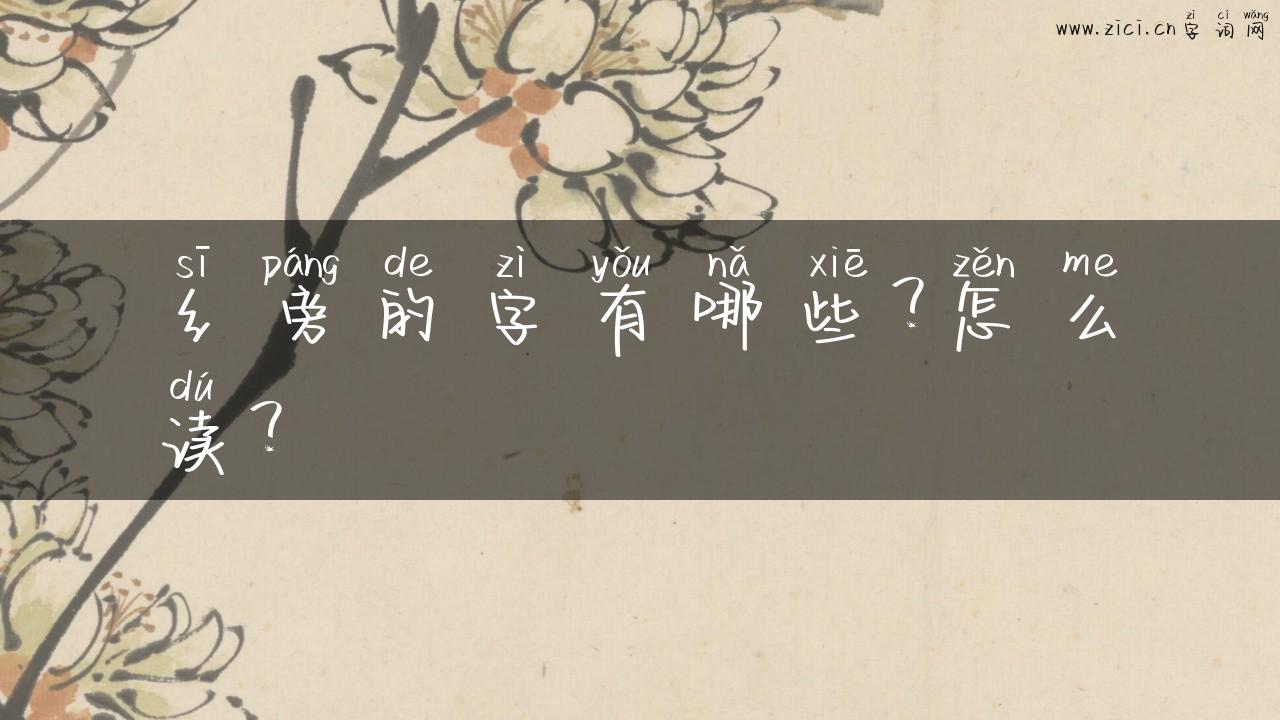 纟旁的字有哪些？怎么读？