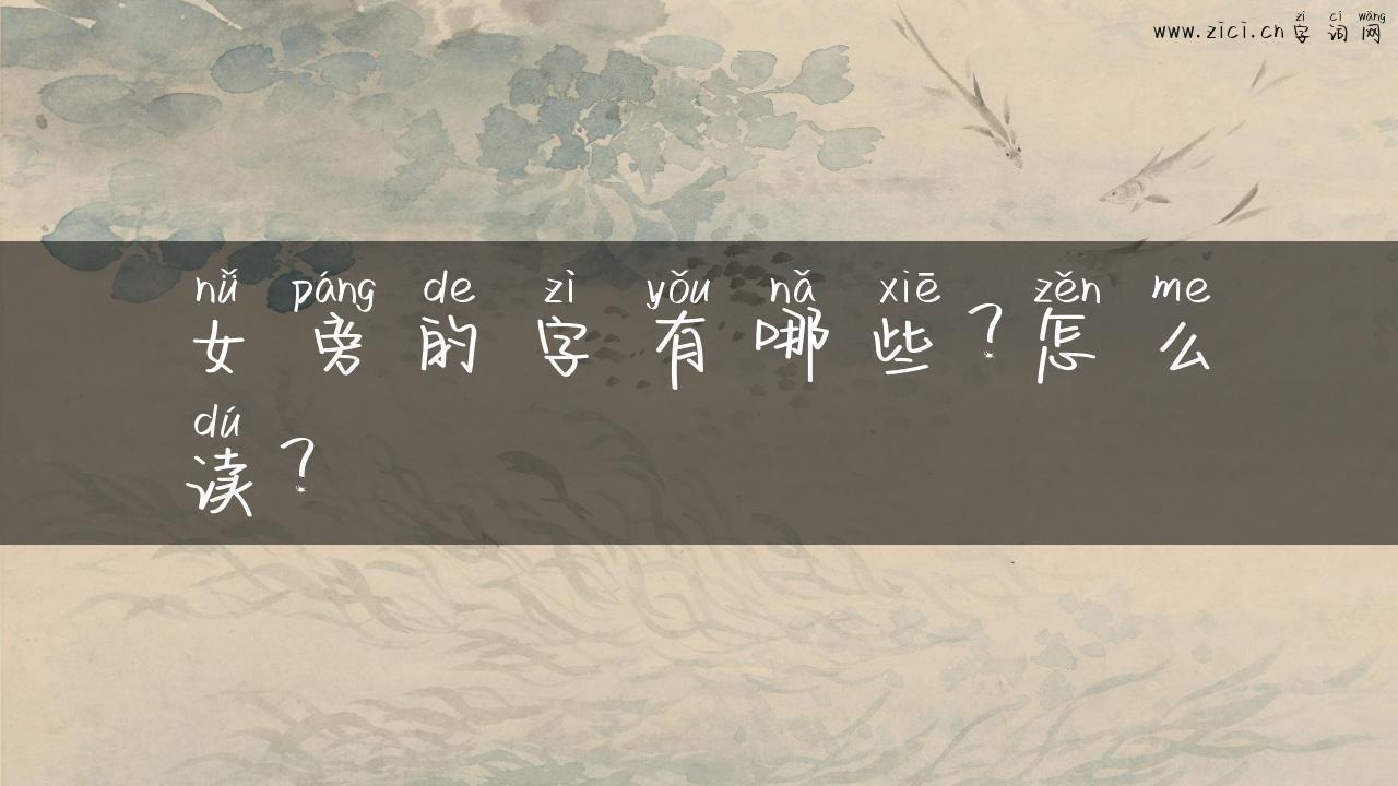 女旁的字有哪些？怎么读？
