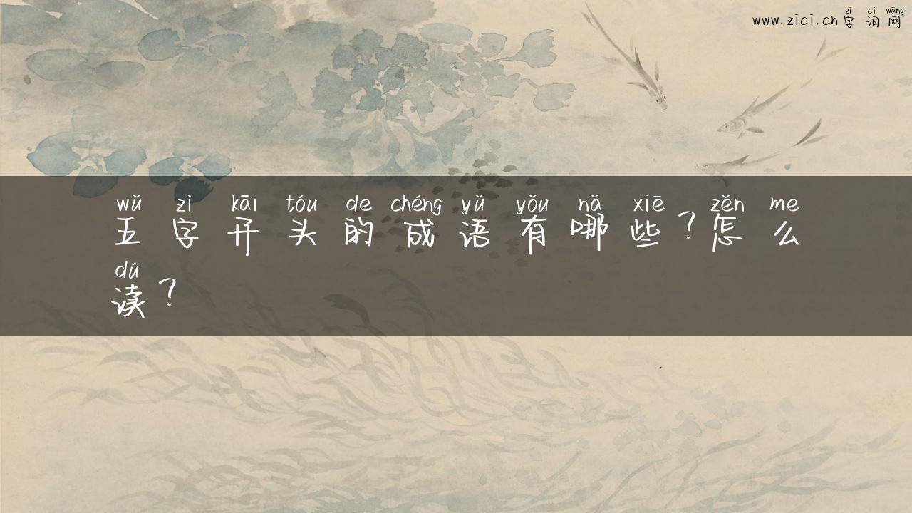 五字开头的成语有哪些？怎么读？