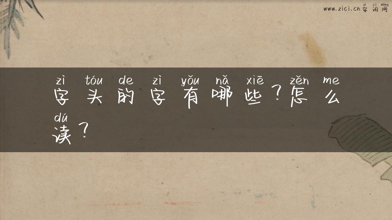 字头的字有哪些？怎么读？