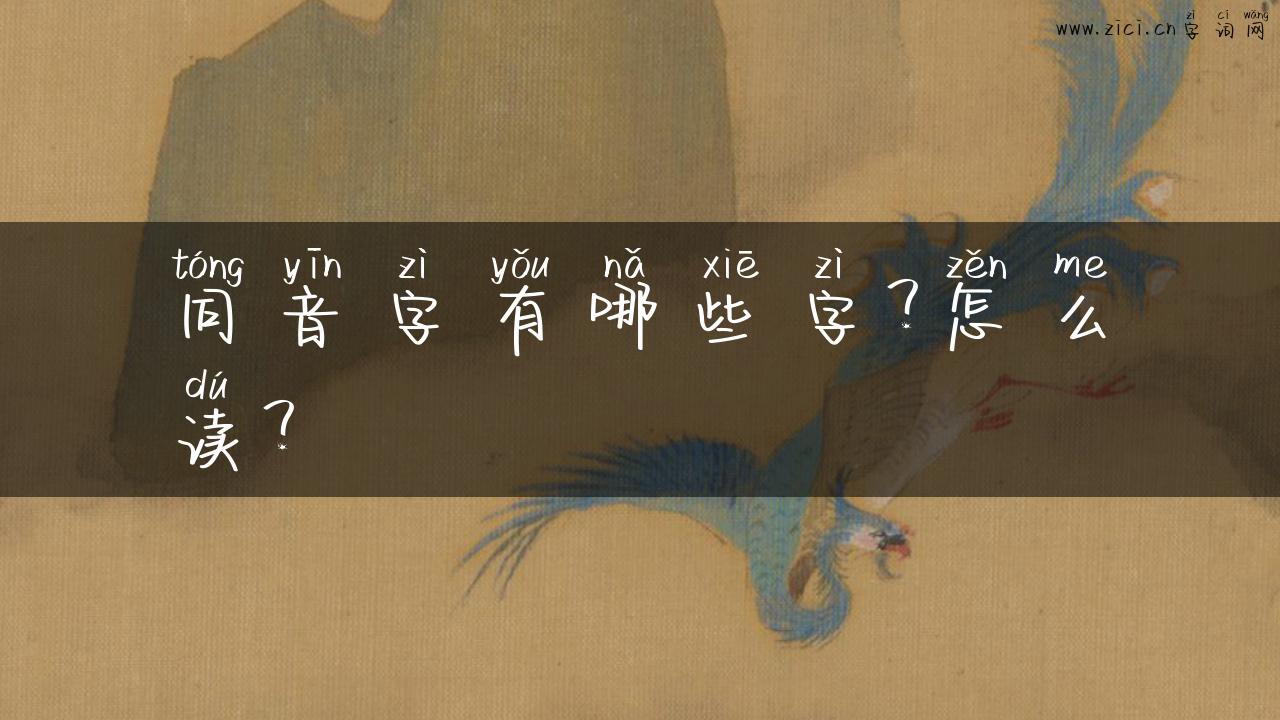 同音字有哪些字？怎么读？