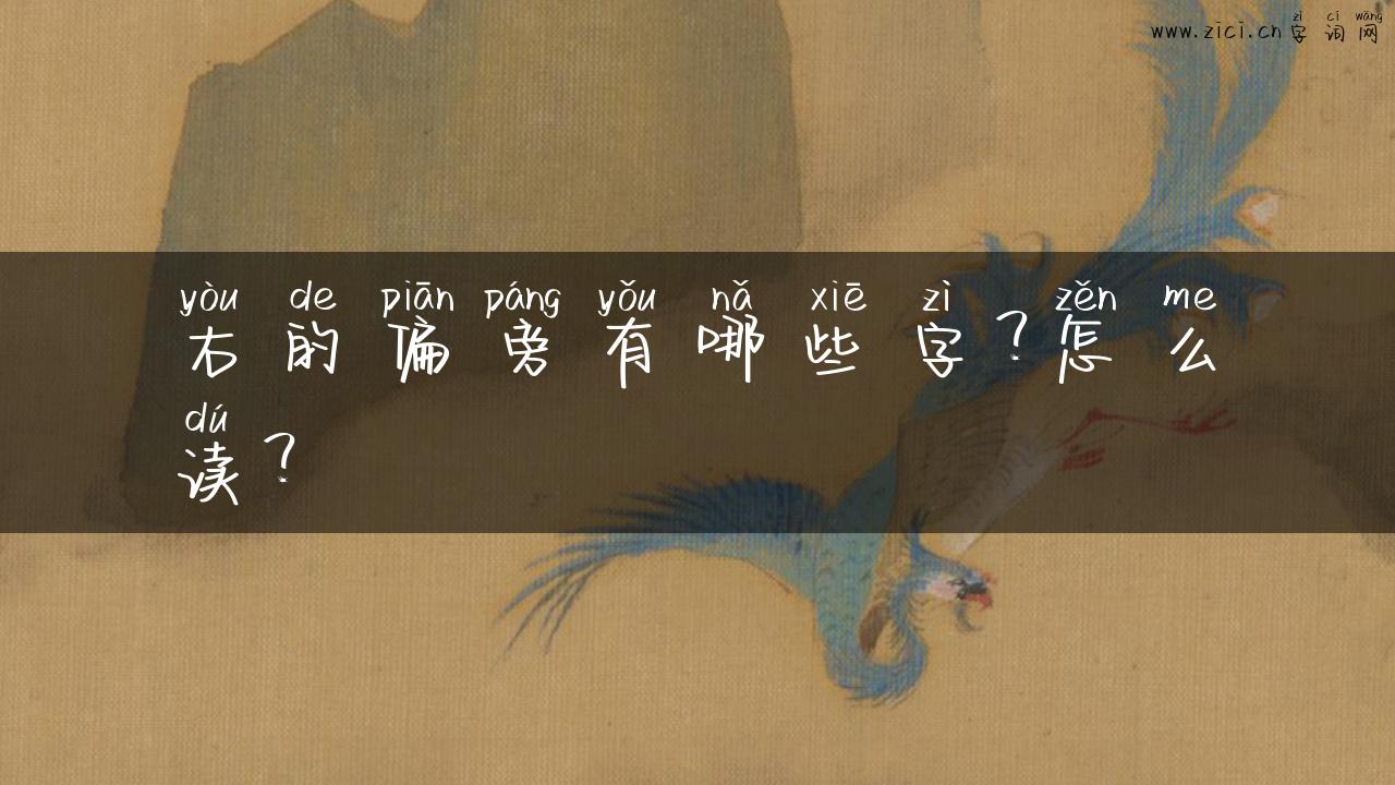 右的偏旁有哪些字？怎么读？