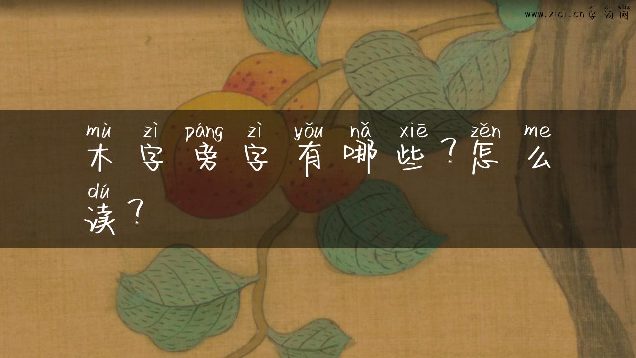 木字旁字有哪些？怎么读？