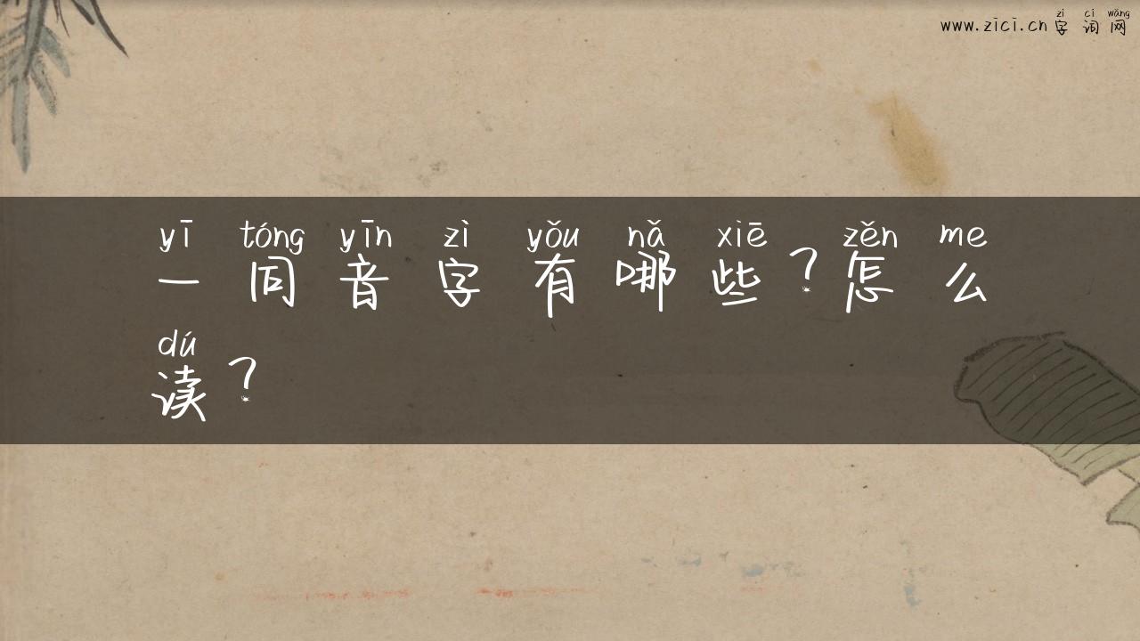 一同音字有哪些？怎么读？