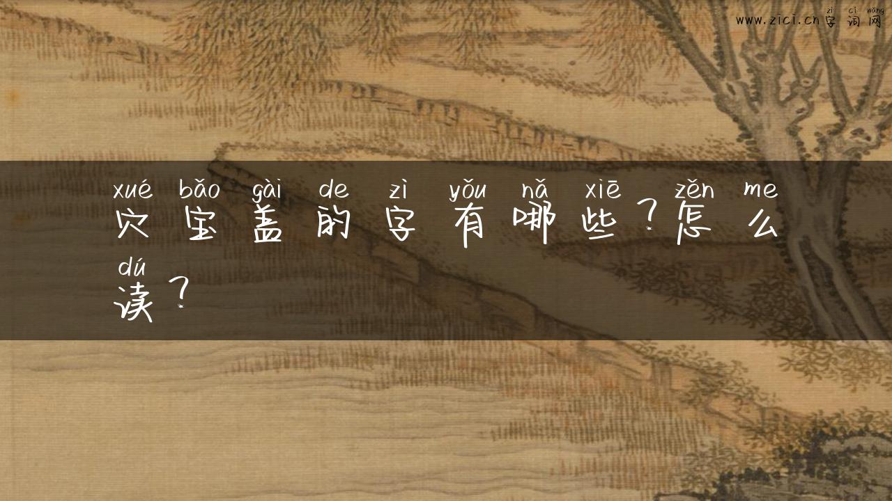 穴宝盖的字有哪些？怎么读？