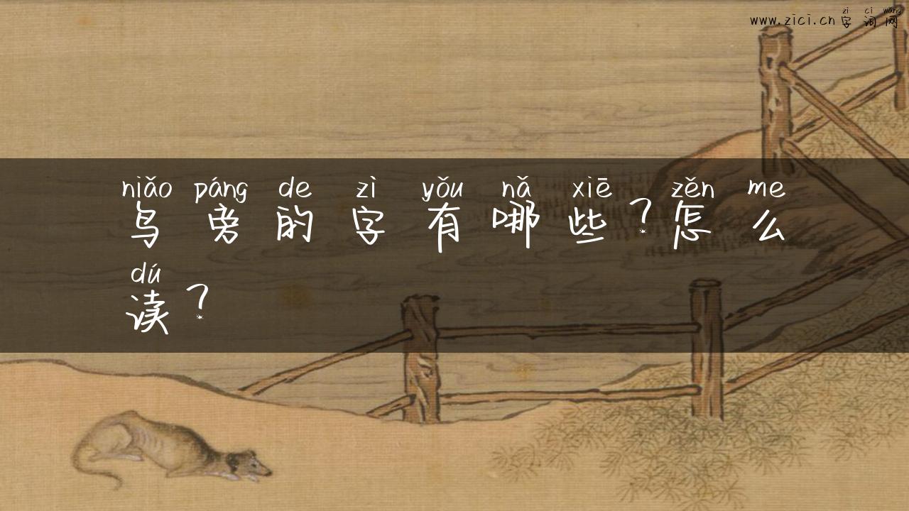 鸟旁的字有哪些？怎么读？