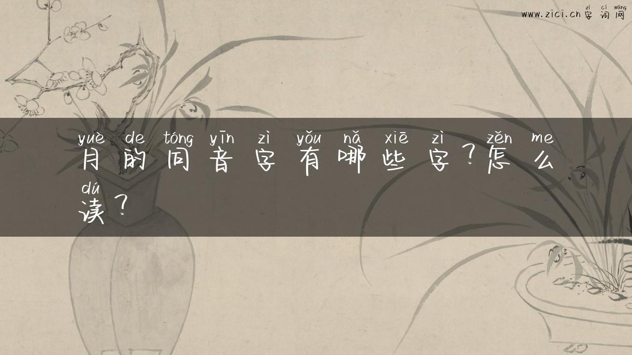 月的同音字有哪些字？怎么读？