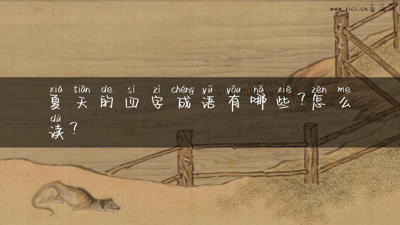 夏天的四字成语有哪些？怎么读？