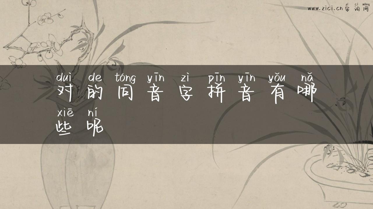 对的同音字拼音有哪些呢