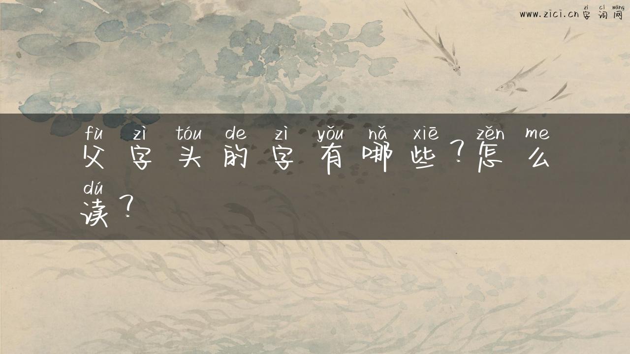 父字头的字有哪些？怎么读？