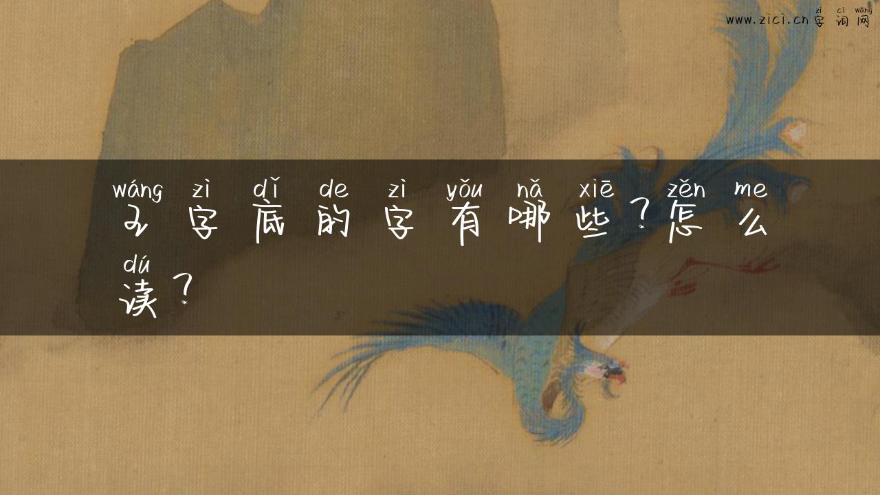 王字底的字有哪些？怎么读？