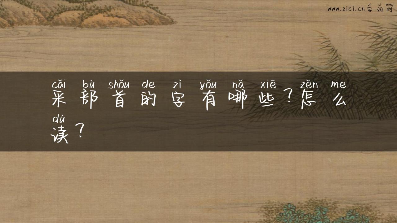 采部首的字有哪些？怎么读？