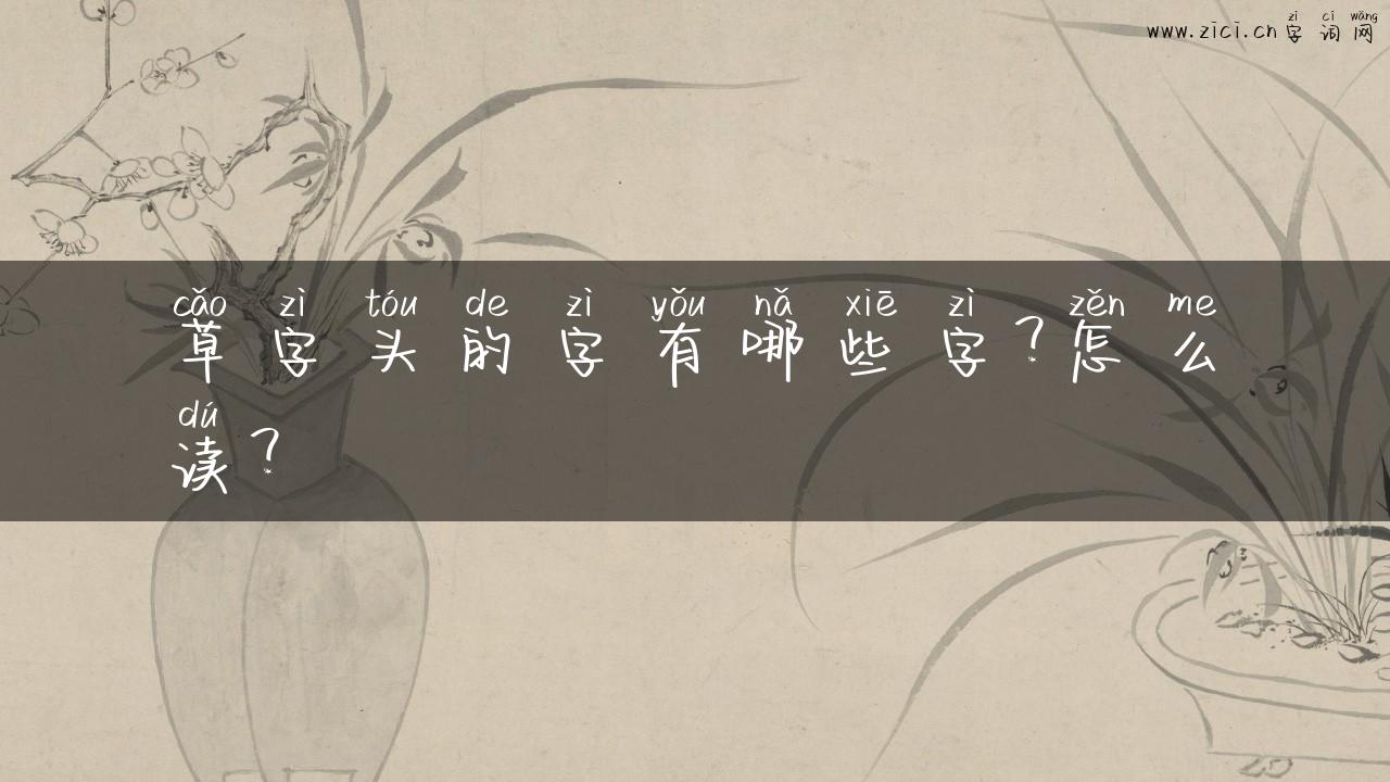 草字头的字有哪些字？怎么读？