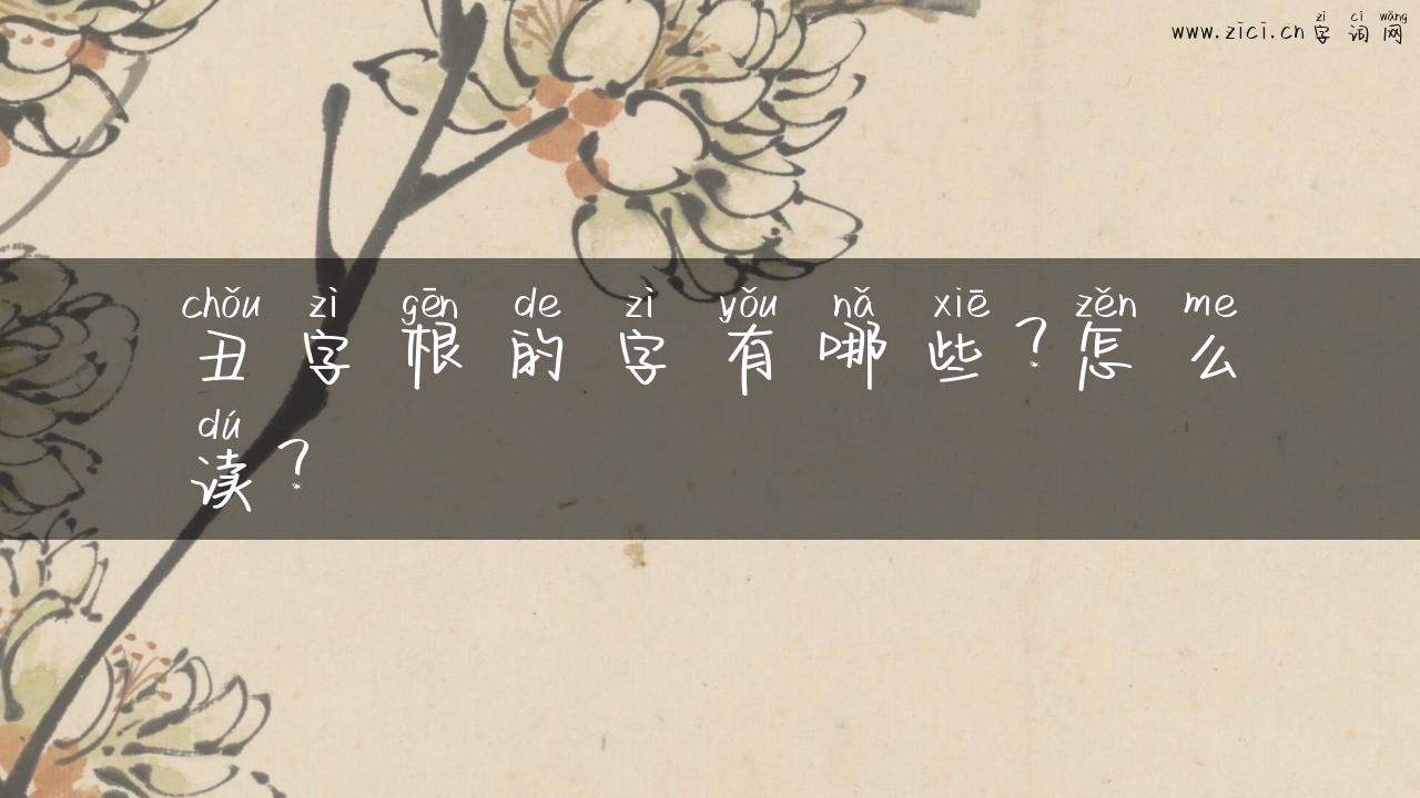 丑字根的字有哪些？怎么读？