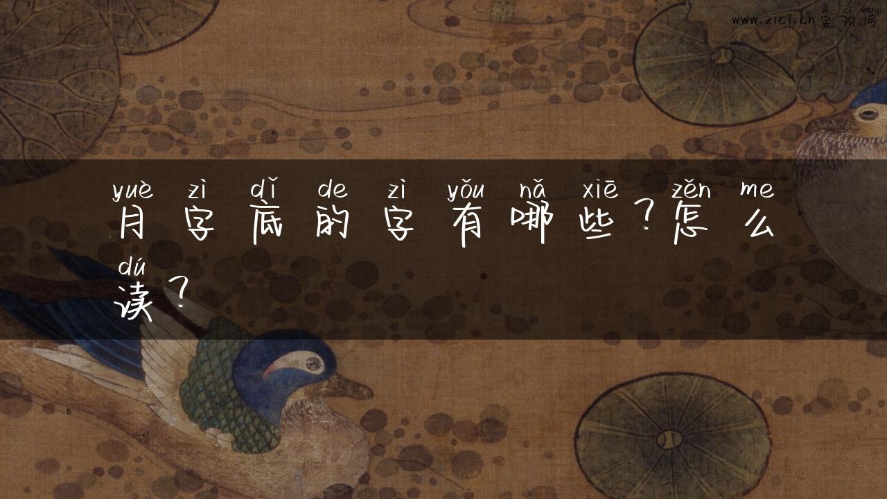 月字底的字有哪些？怎么读？